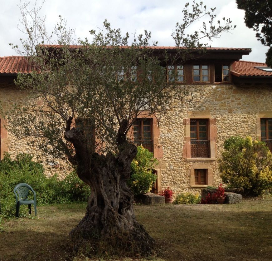Hotel Palacio De La Vinona 4*