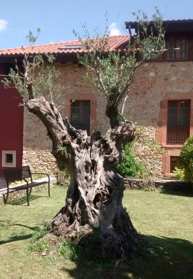 Palacio De La Vinona